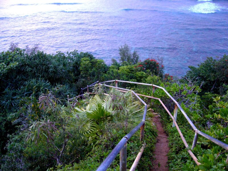Coastal Path with Ocean View — Green, Serene