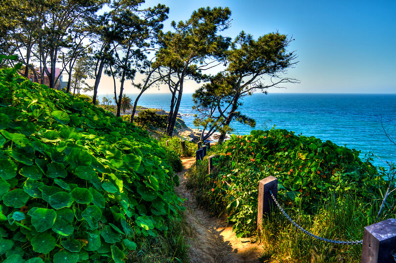 Coastal Path with Ocean View — Green