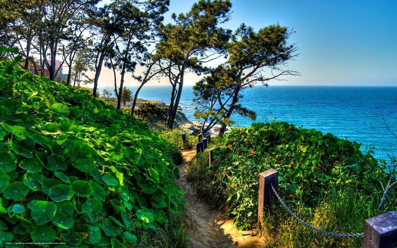 Coastal path with ocean view