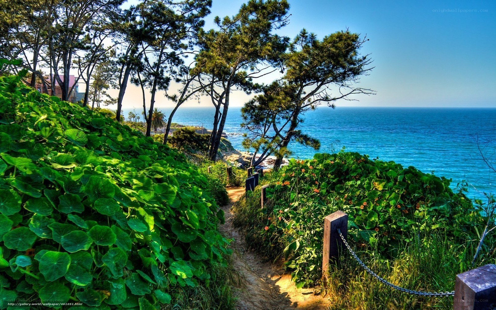 Coastal path with ocean view