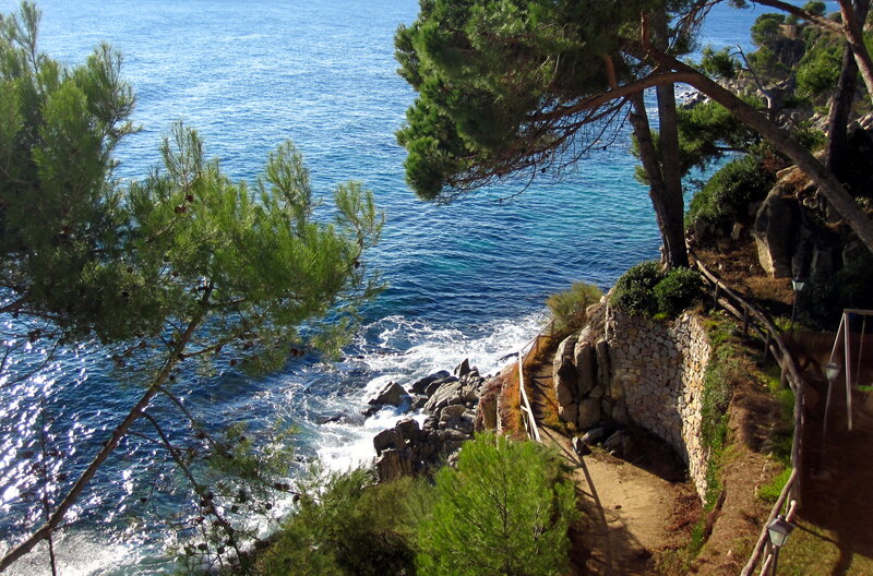 Coastal Path with Pine Trees — Blue