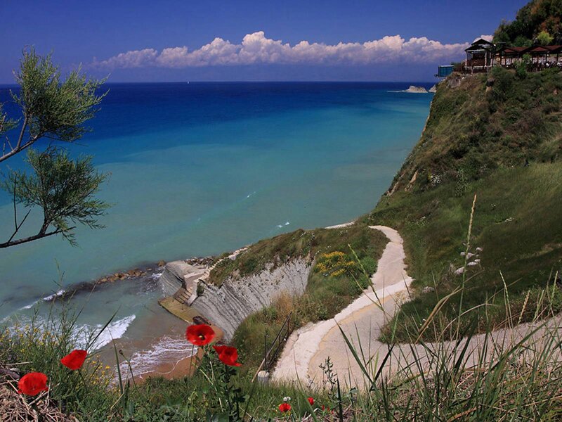Coastal Path with Red Flowers — Blue