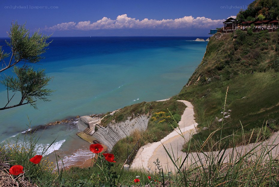Coastal path with red poppies