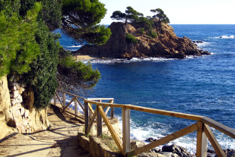 Coastal Path with Sea — Blue