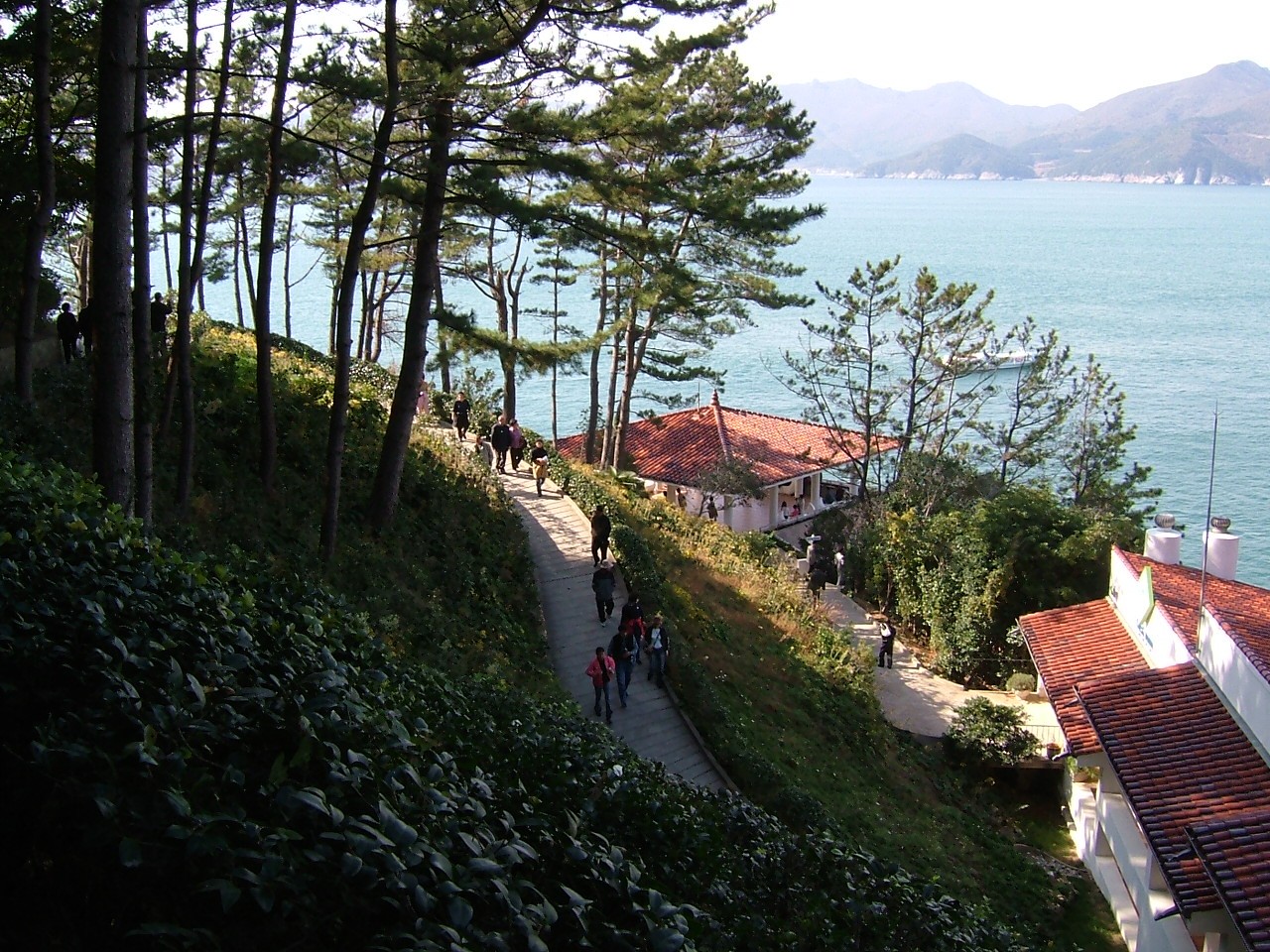 Coastal path with sea view