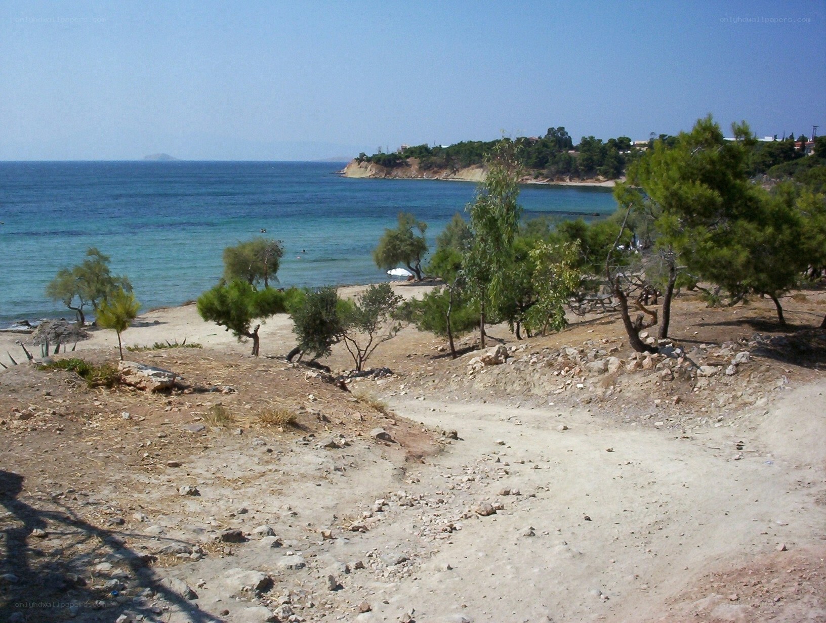 coastal path with trees and sea