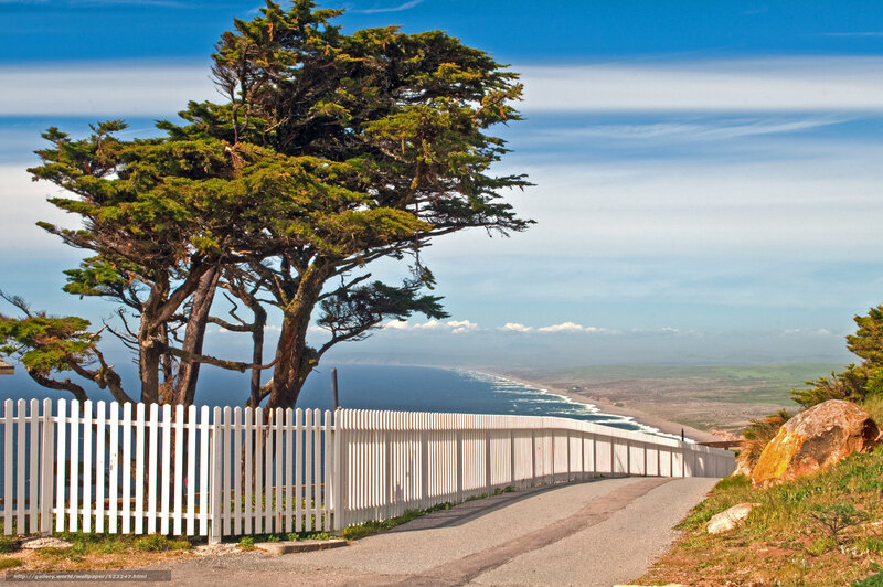 Coastal path with white fence