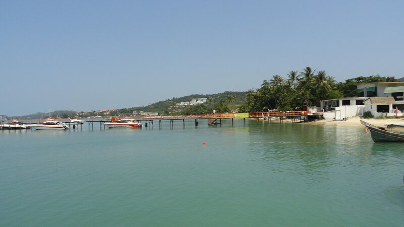 Coastal pier with boats and palm trees