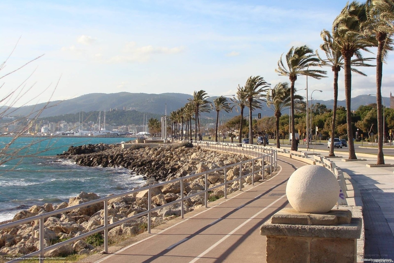 coastal promenade with palm trees