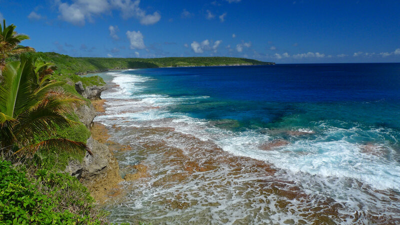 Coastal Reef with Waves
