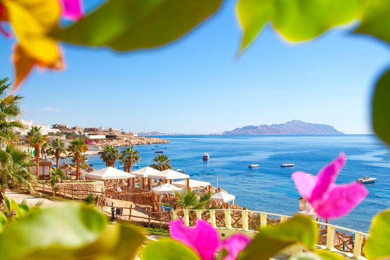 Coastal Resort View — Blue, Serene