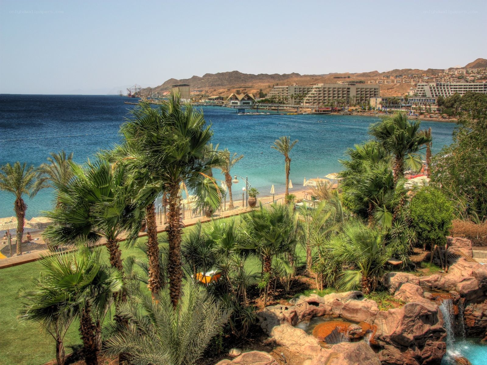 Coastal resort with palm trees