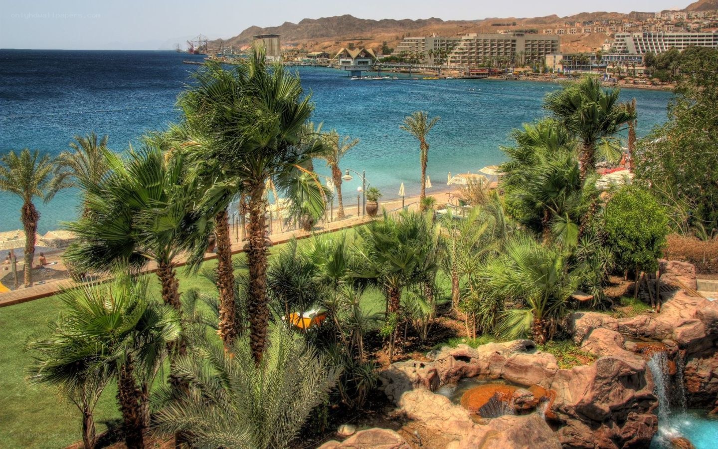 Coastal resort with palm trees