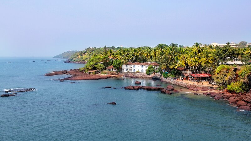 Coastal Resort with Palm Trees — Blue