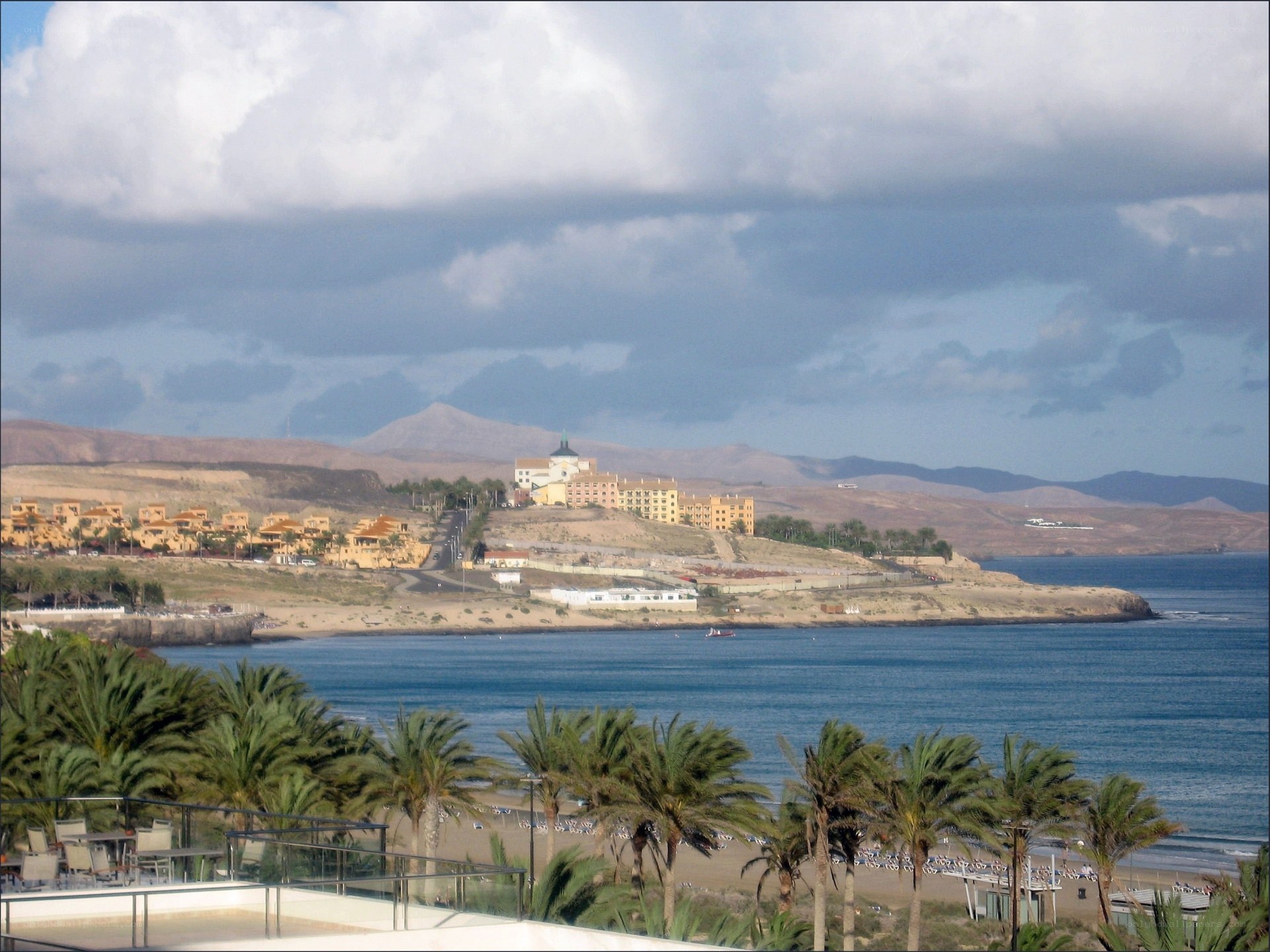 coastal resort with palm trees