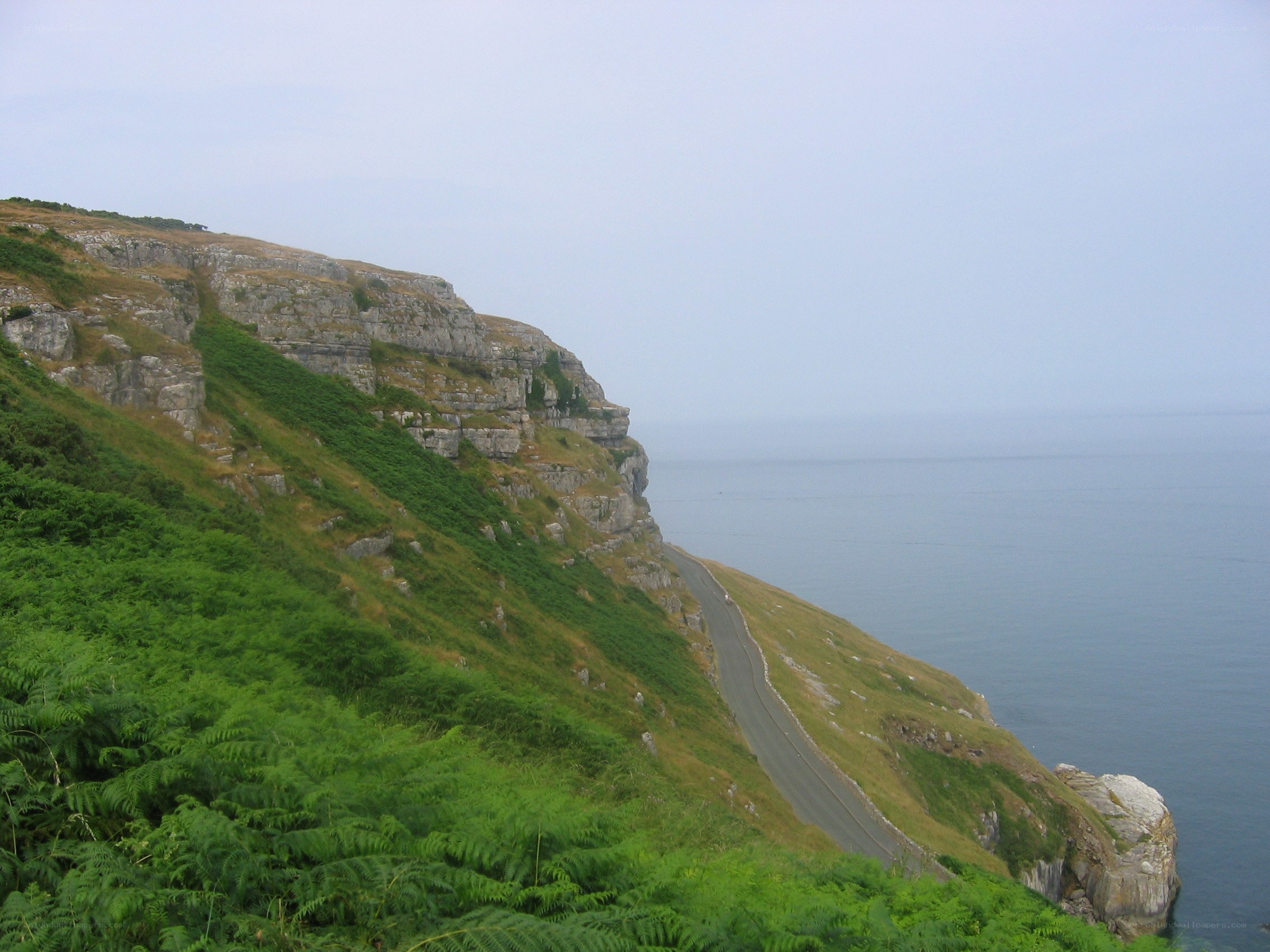 coastal road along cliffs