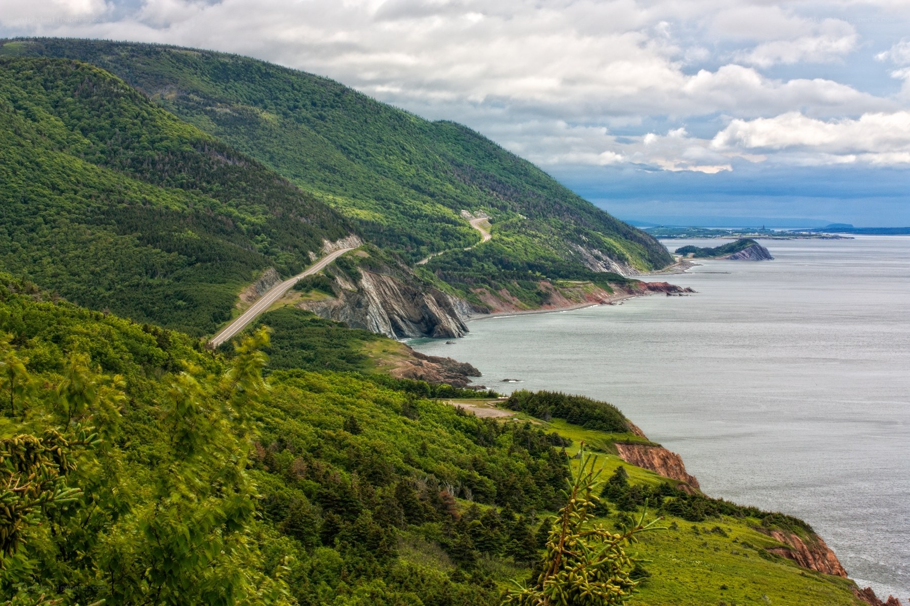 coastal road along green cliffs