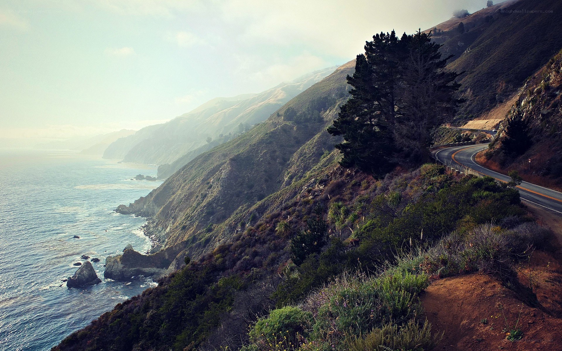 coastal road along rugged cliffs