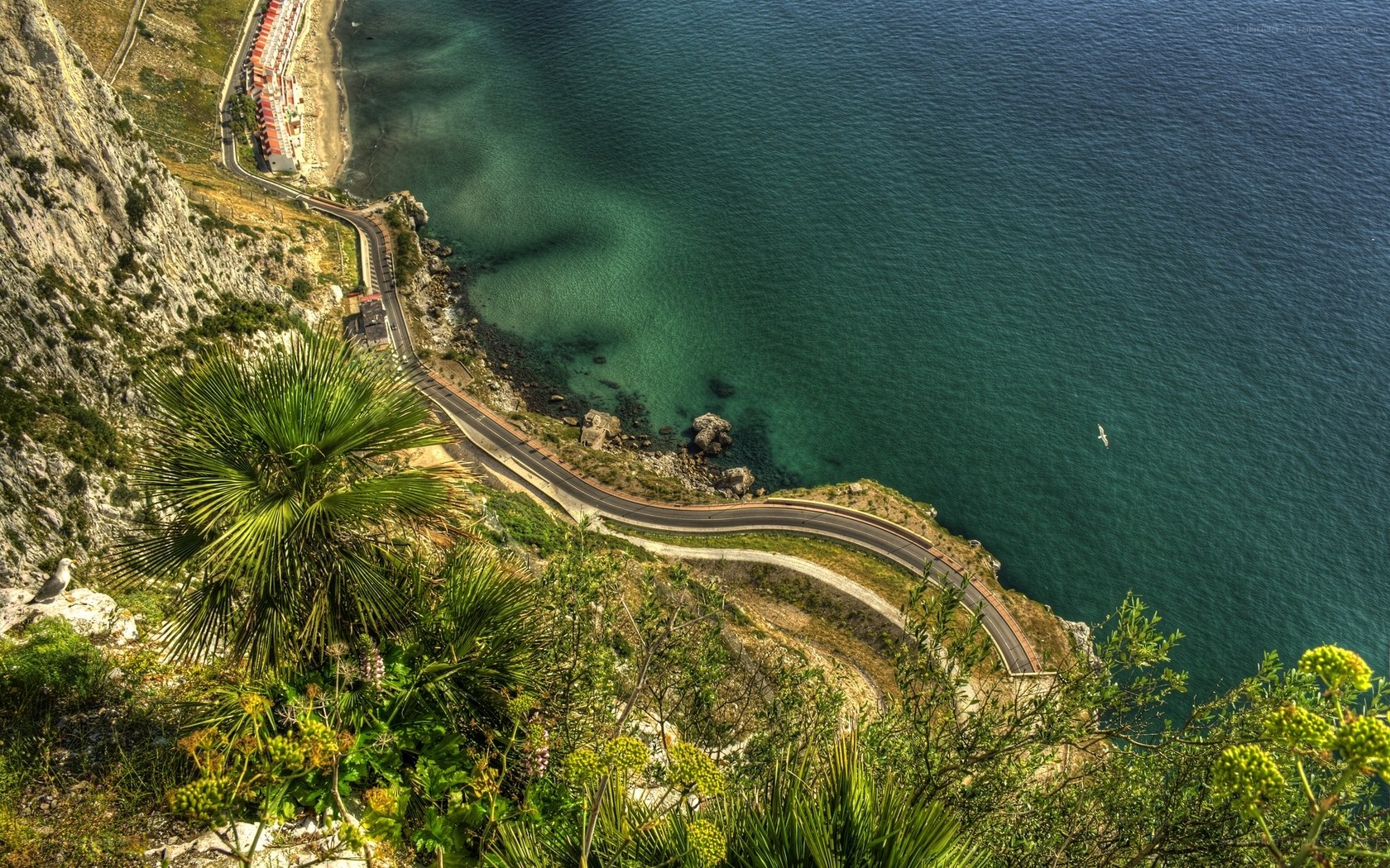 coastal road winding along cliffs