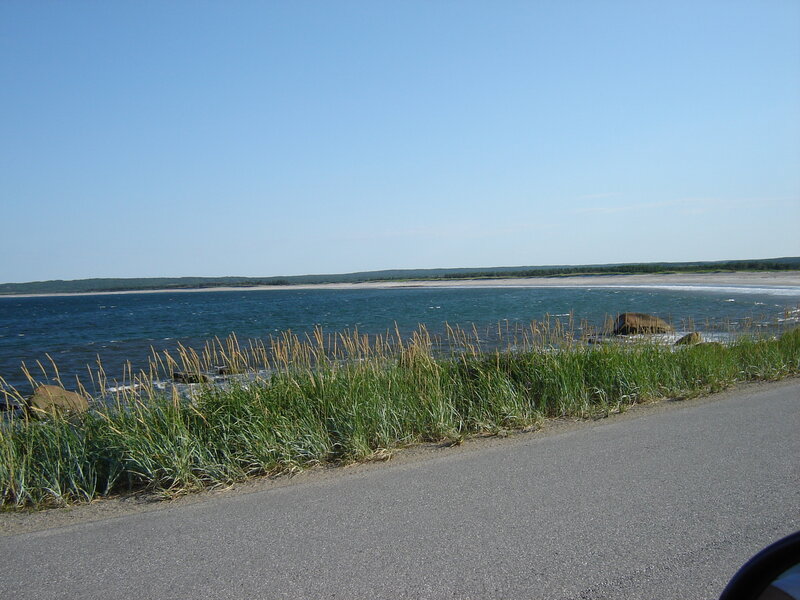 Coastal Road with Grass
