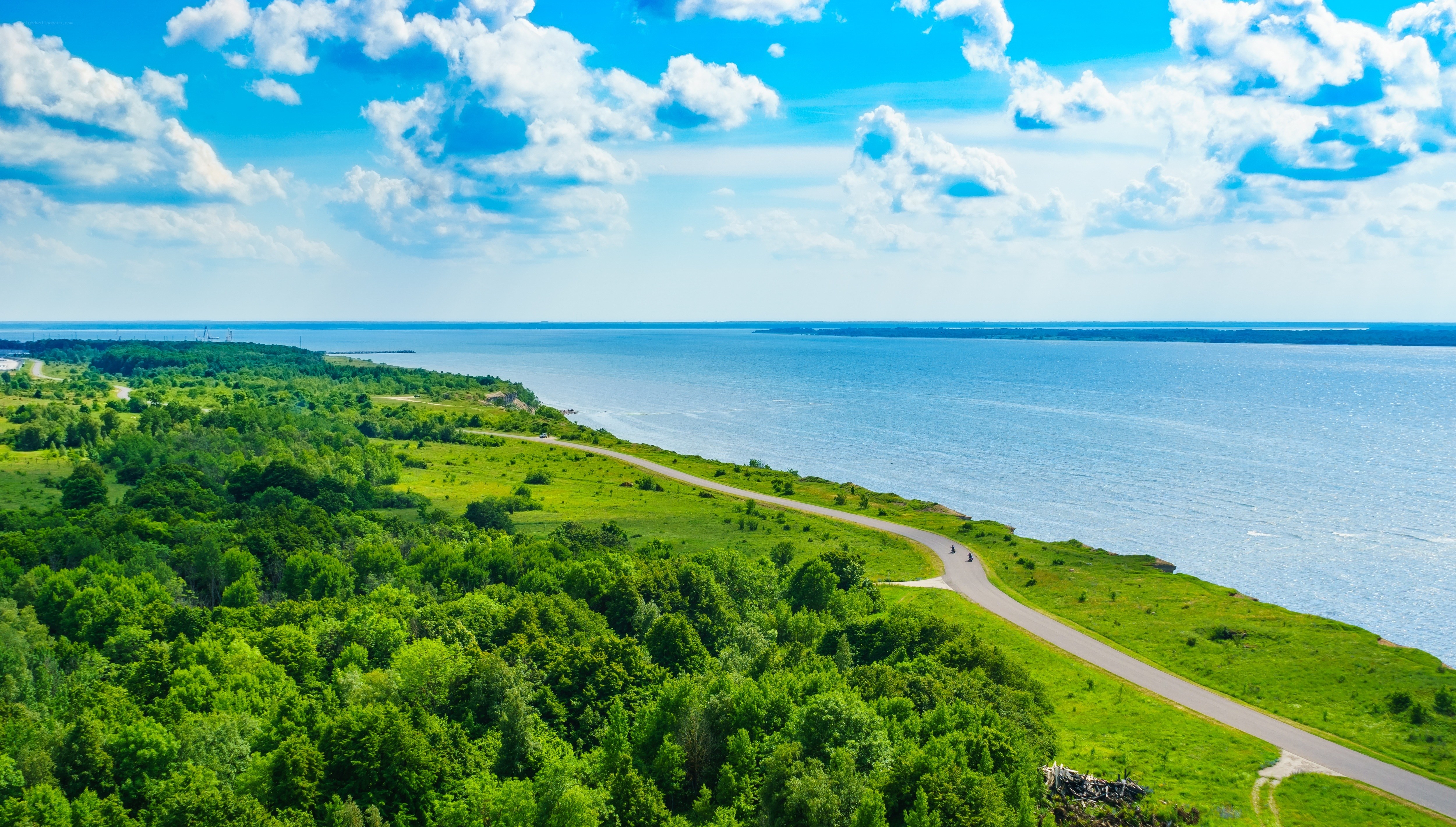 Coastal road with green landscape