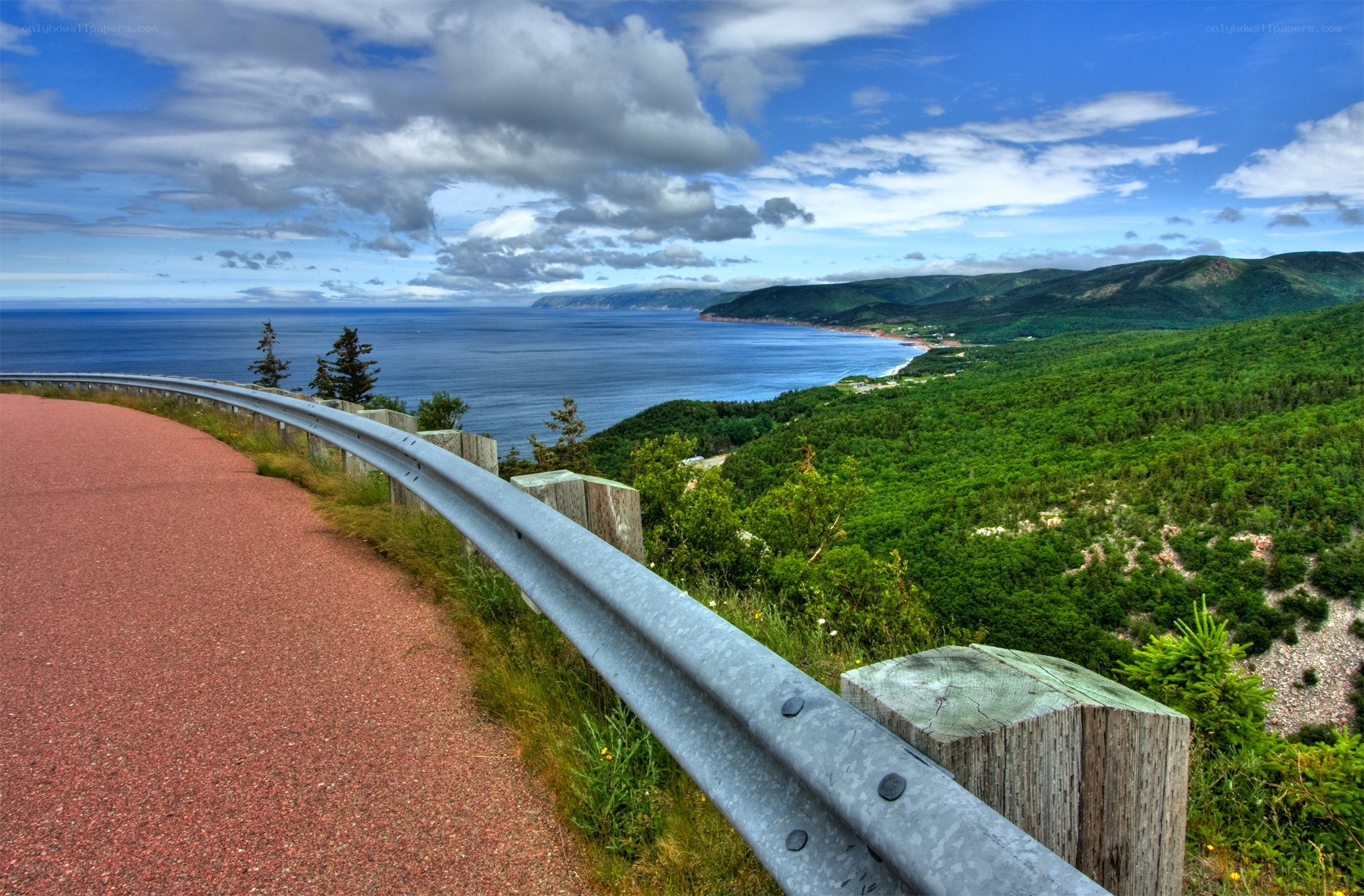 Coastal road with ocean view
