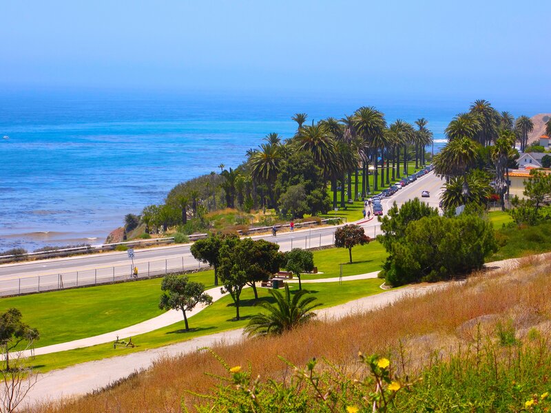 Coastal Road with Palm Trees