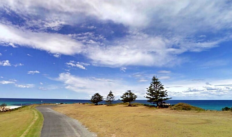 Coastal Road with Pine Trees