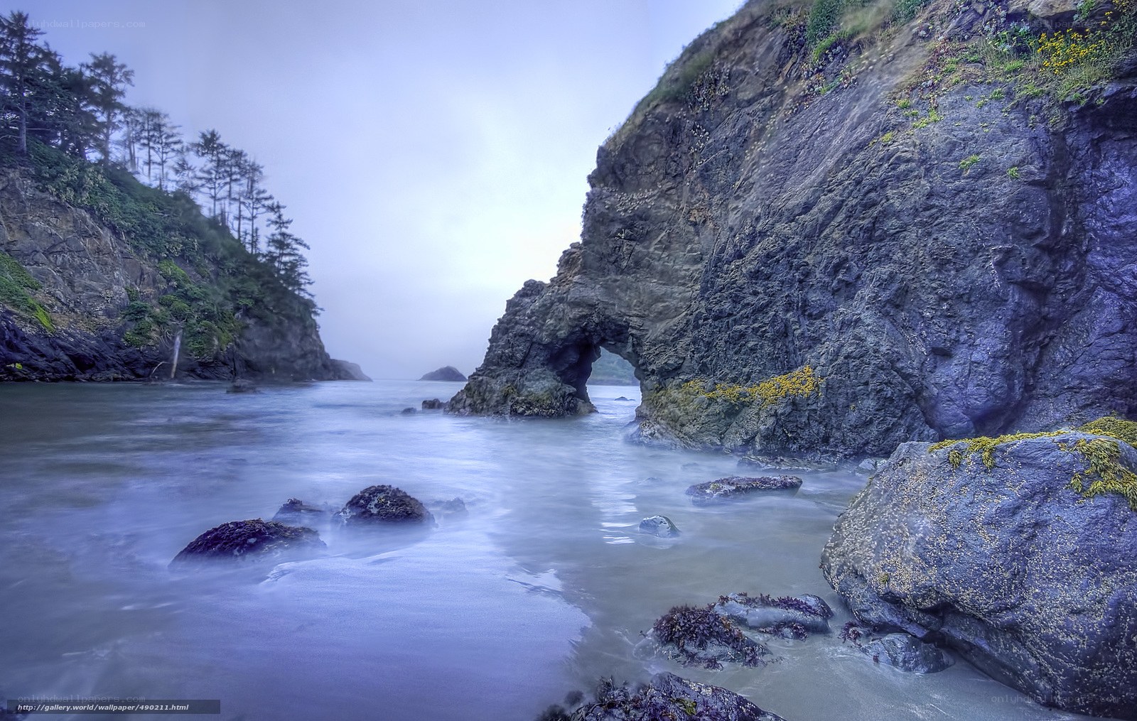 coastal rock arch at dawn