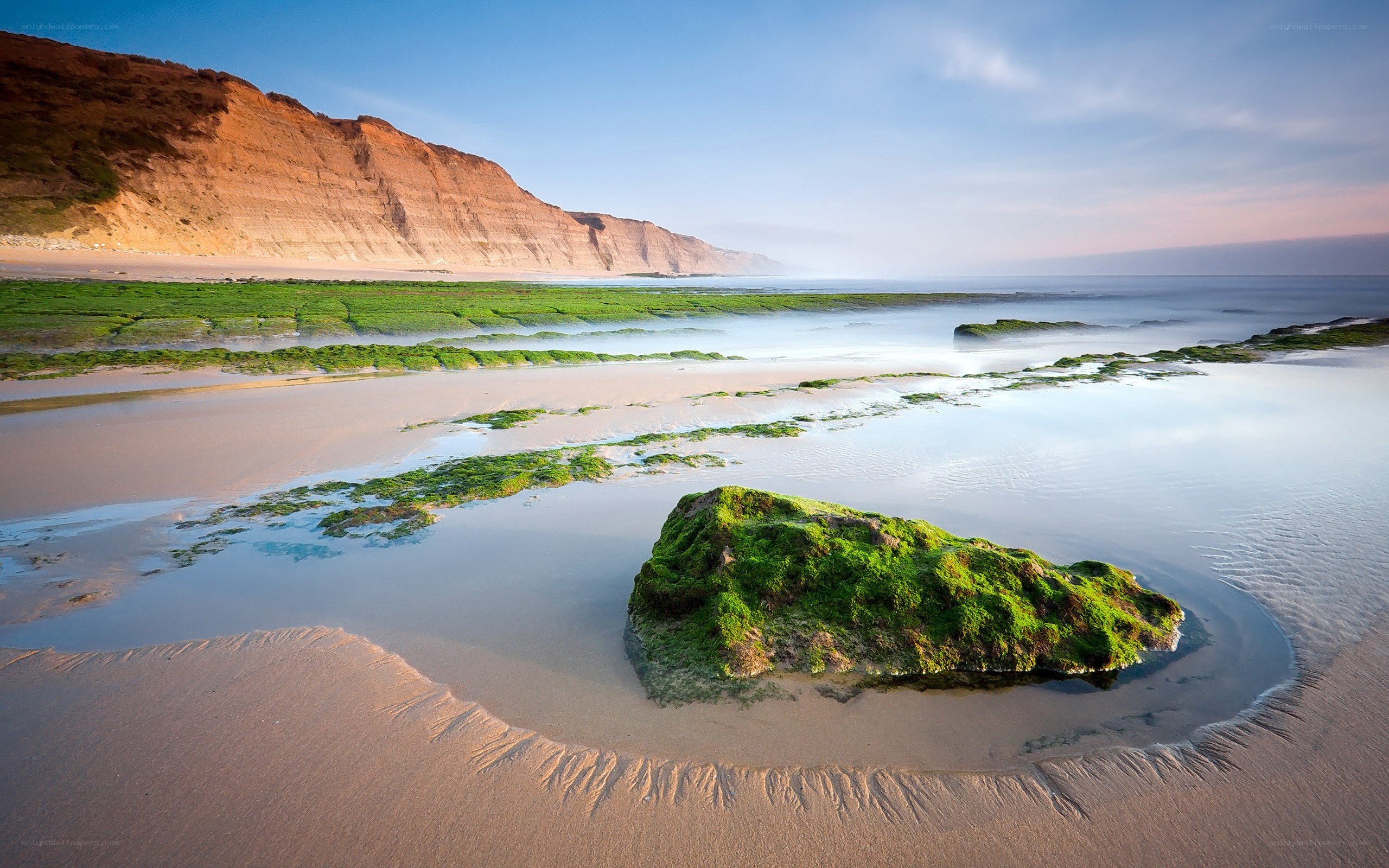 coastal rock at low tide