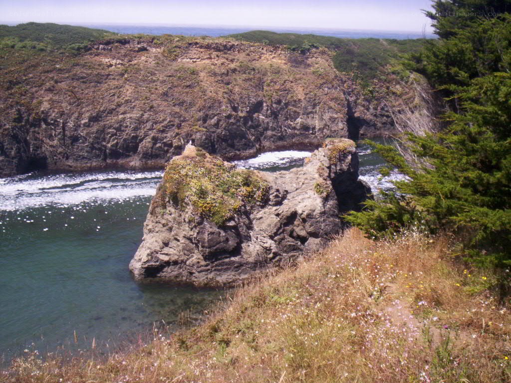 coastal rock formation