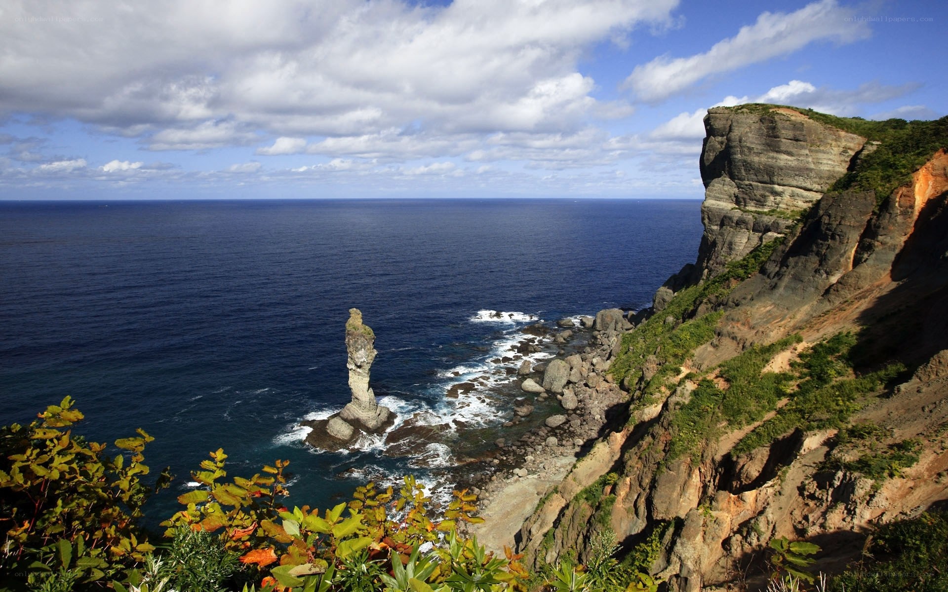 Coastal rock formation and cliffs