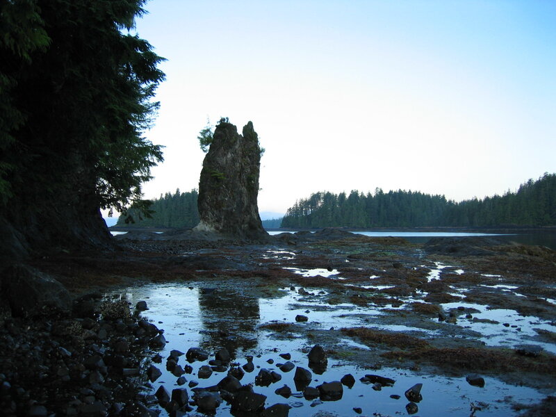 coastal rock formation at low tide