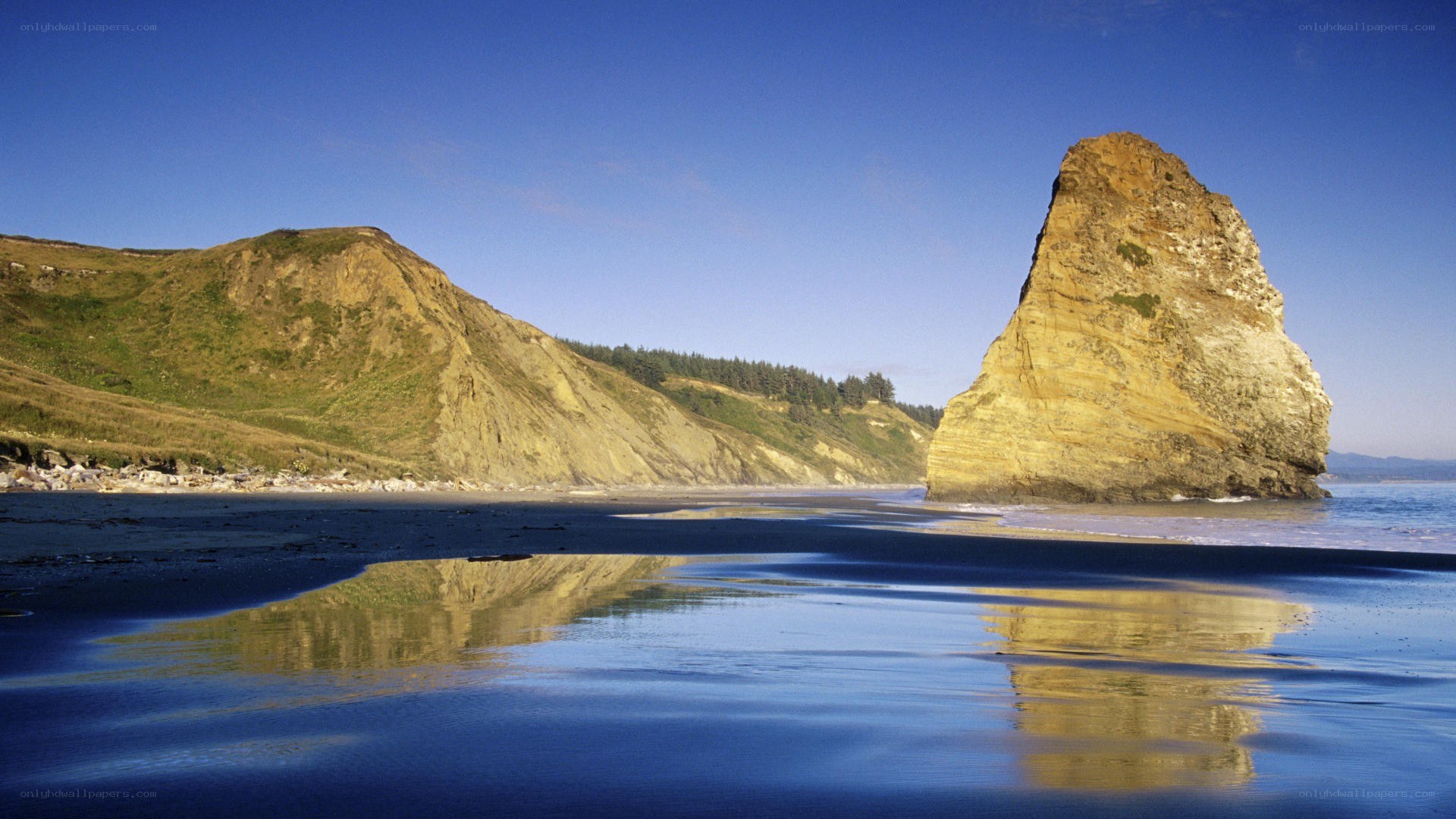 coastal rock formation at low tide