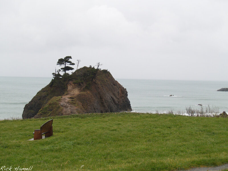 coastal rock formation with bench