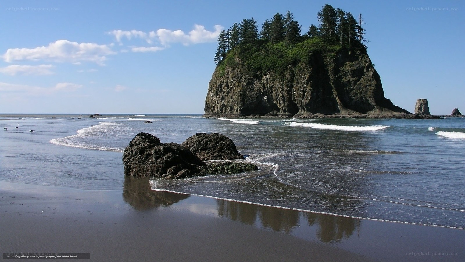 coastal rock formation with forest