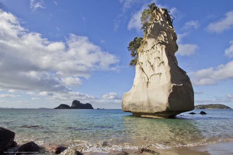 Coastal rock formation with trees