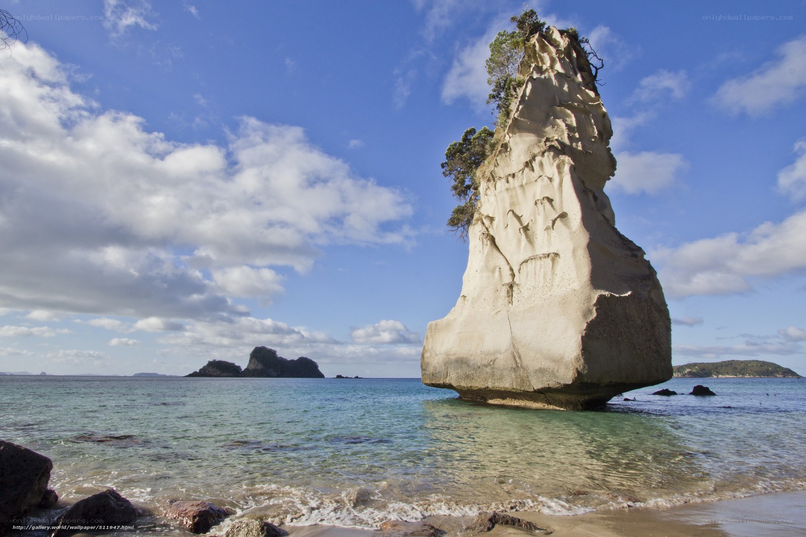Coastal rock formation with trees