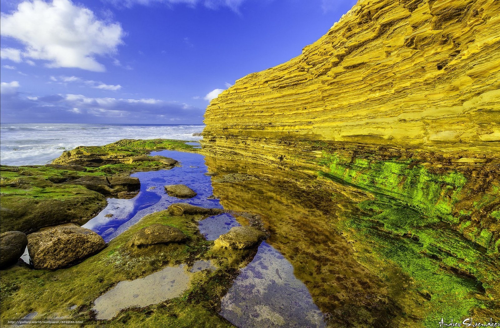 coastal rock formations and tide pools