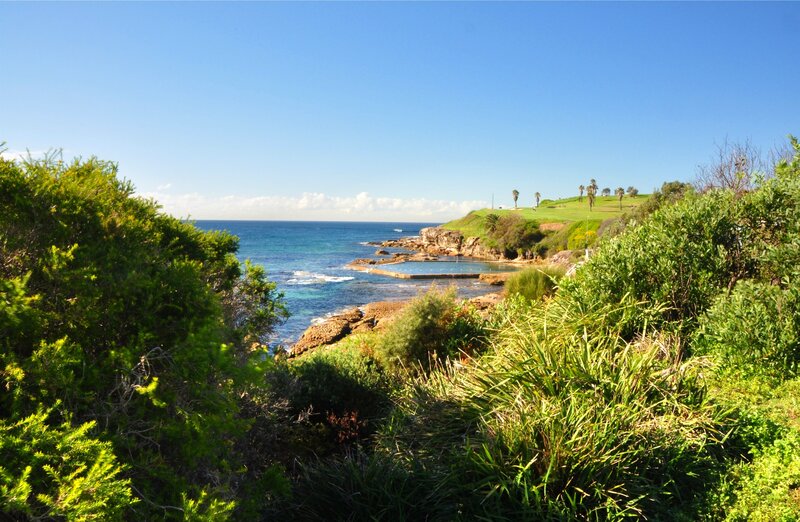 Coastal Rock Pool — Blue