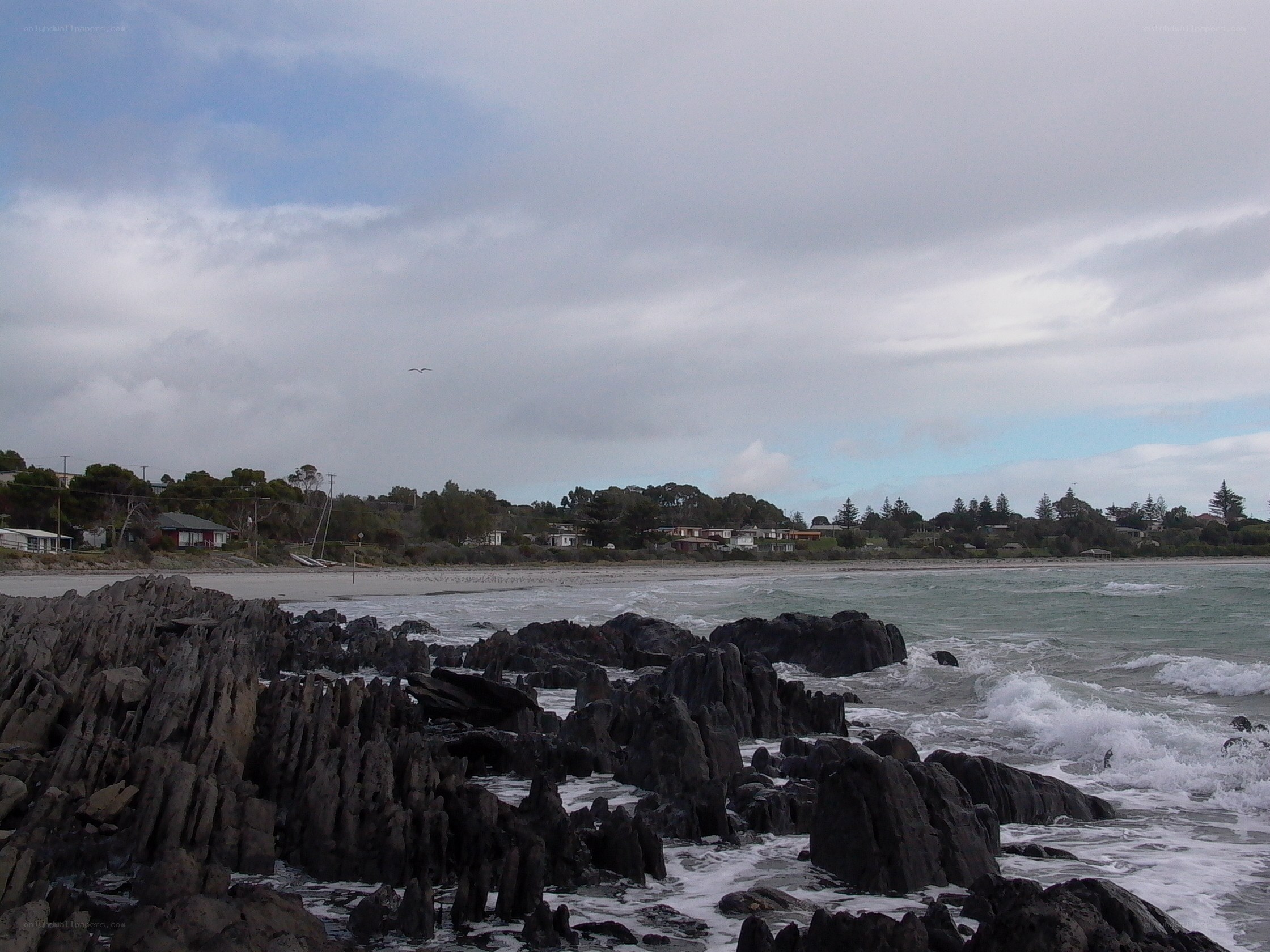 coastal rocks and beach