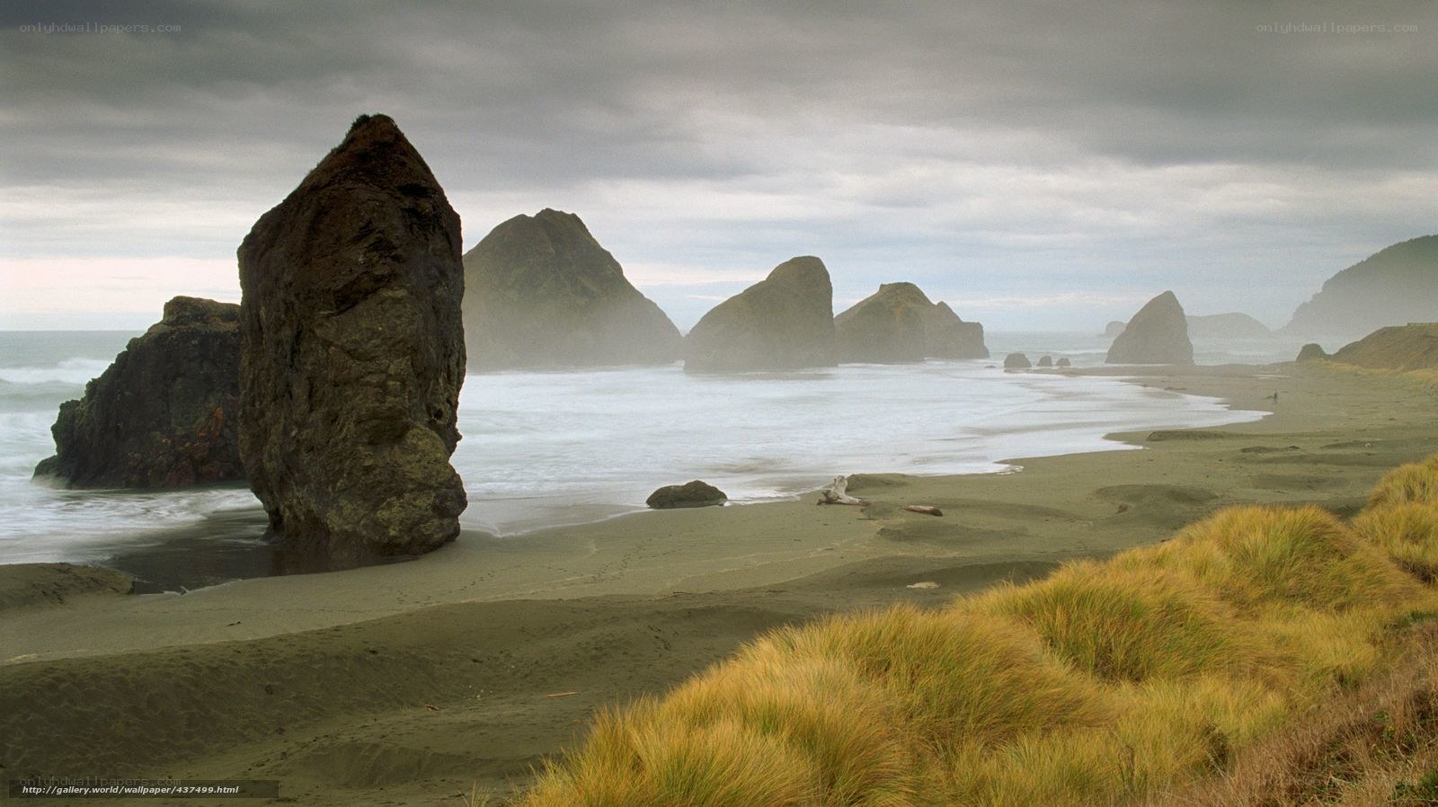 coastal rocks and beach