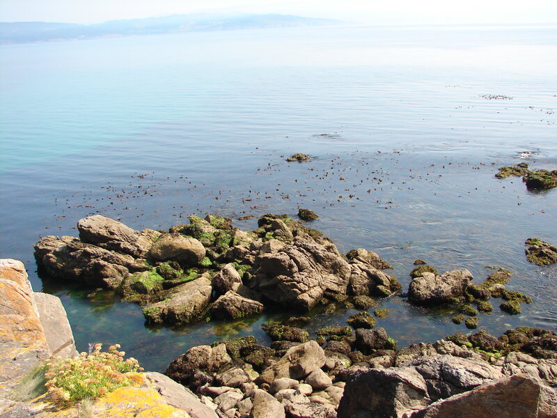coastal rocks and calm sea