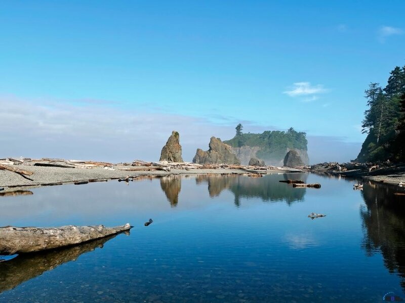 coastal rocks and driftwood
