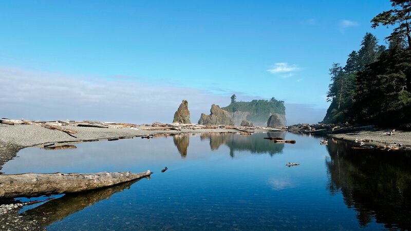 coastal rocks and driftwood