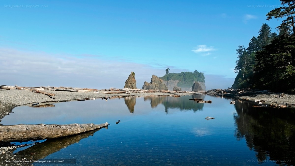 coastal rocks and driftwood