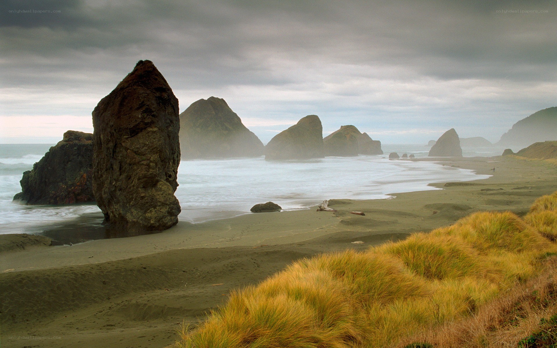 coastal rocks and dunes