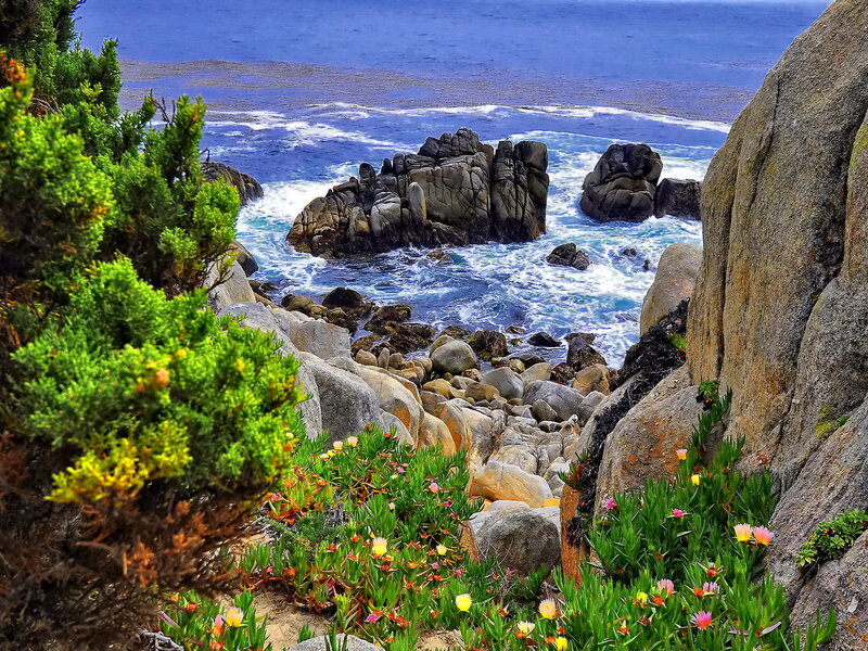 Coastal Rocks and Flowers — Blue