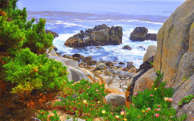 Coastal Rocks and Flowers — Green