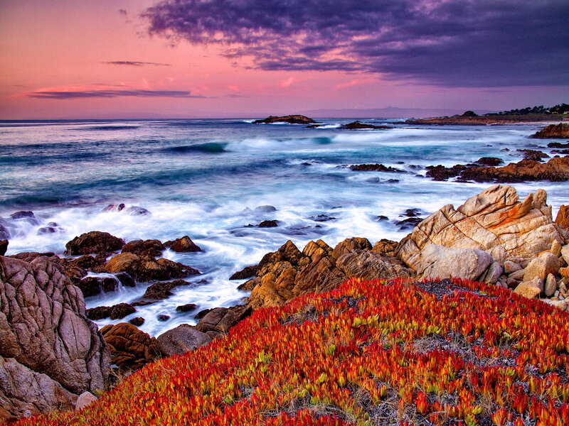 Coastal Rocks and Flowers — Red